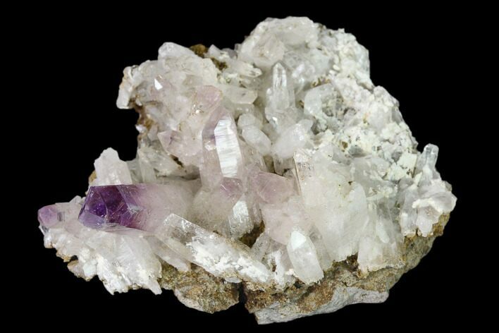 2" Amethyst Crystal Cluster - Las Vigas, Mexico